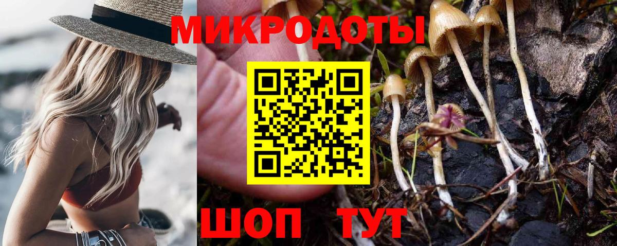 Галлюциногенные грибы Cubensis  как найти закладки  Кольчугино  Псилоцибиновые грибы мицелий  Вход с VPN 